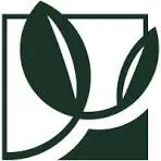 Amoseeds